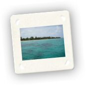 Saona (5).jpg